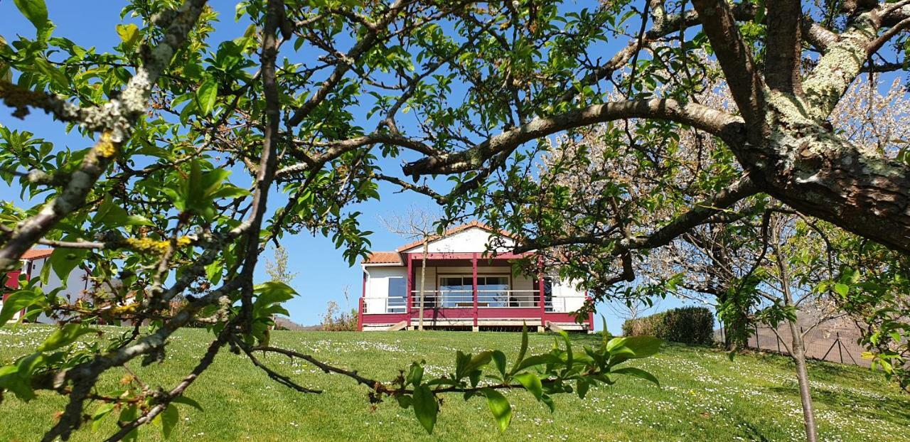 Domaine Chalets Larlapean Saint-Martin-dʼArrossa Екстериор снимка